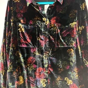 NWT Pilcro/ Anthropologie relaxed velvet button down